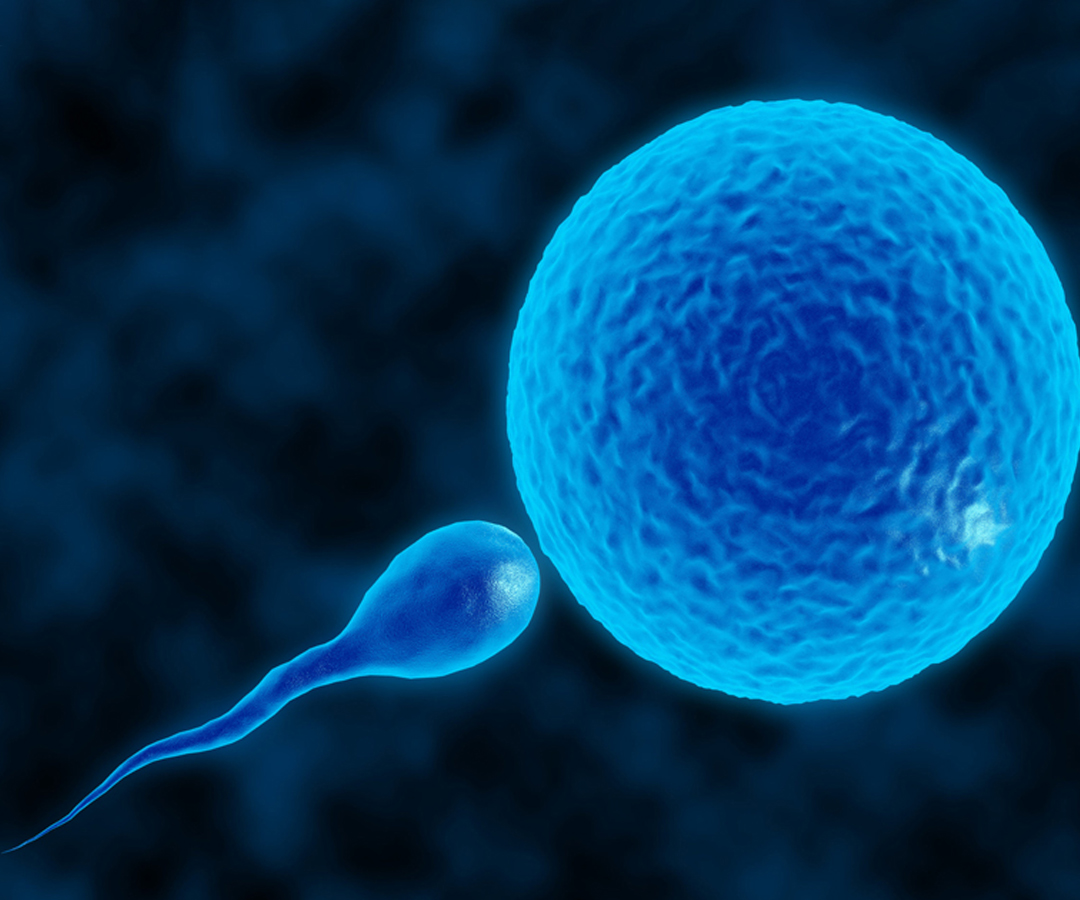 Healthcare consultation